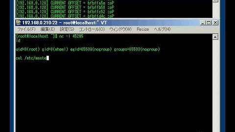 ProFTPd(CVE-2010-4221)
