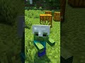 Teaching A Minecraft Zombie How To Cook Shorts