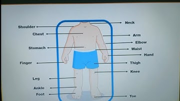 EVS- Class-1 Our Body Parts | Parts of our body for kids