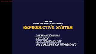 # human reproductive system part 1