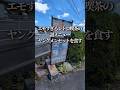 ヤングメンセットをオッサンが注文してみた話。メニューや住所等、詳細は概要欄からどうぞ👇#グルメ#ショート