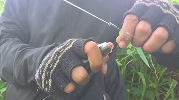 Câu cá thác lác,cá rô cũng có được cảm giác