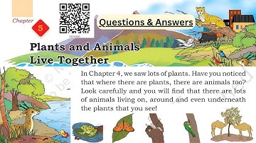 ਪੌਦੇ ਅਤੇ ਜਾਨਵਰ ਇਕੱਠੇ ਰਹਿੰਦੇ ਹਨ | ਸਵਾਲ ਅਤੇ ਜਵਾਬ | ਕਲਾਸ 3 EVS | ਸਾਡੇ ਆਲੇ ਦੁਆਲੇ ਦੀ ਦੁਨੀਆਂ ਅਧਿਆਇ 5