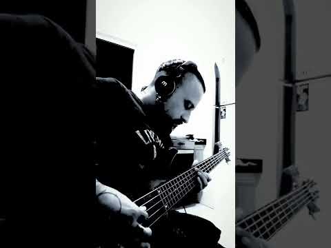 Vinnie Savastanno |