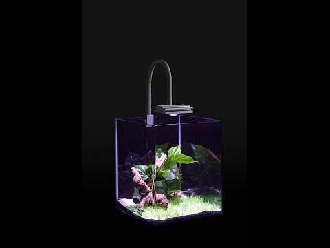 Der Vollspektrum LED SpotMit unserem spotBEAM LED Strahler setzen Sie besondere Akzente.Diese kleinen (10x12cm) und vielseitig einsetzbaren Leuchten eignen s...