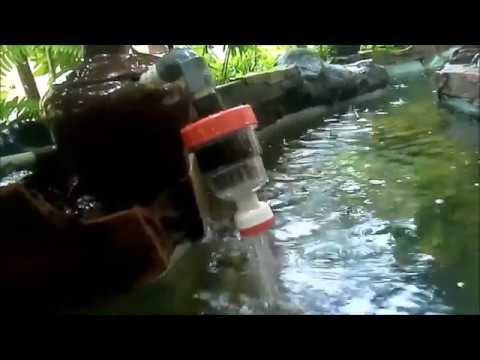 Video Tutorial Jumbo Water Filter Kolam Ikan Koi Youtube Mewarnai