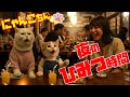 にゃんこちん夜のひみつタイム🍹何が起きる！？