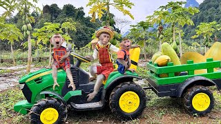 Smart Bim Bim Took Two Little Monkeys To The Farm To Harvest Papaya