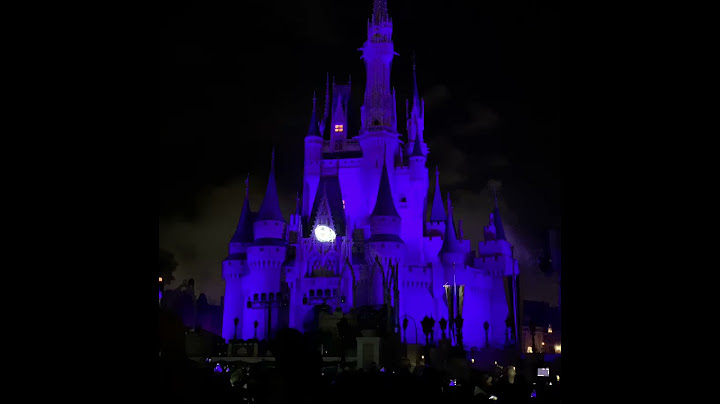 Disney World Magic Kingdom New year eve countdown 2018