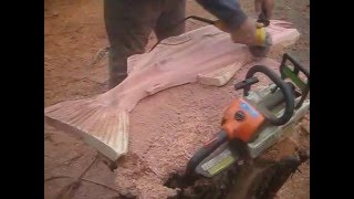 Chainsaw Carving a Fish Robert Tidwell ( www.KnotJustABear.com ) chainsaw carves a Salmon from a redwood plank.