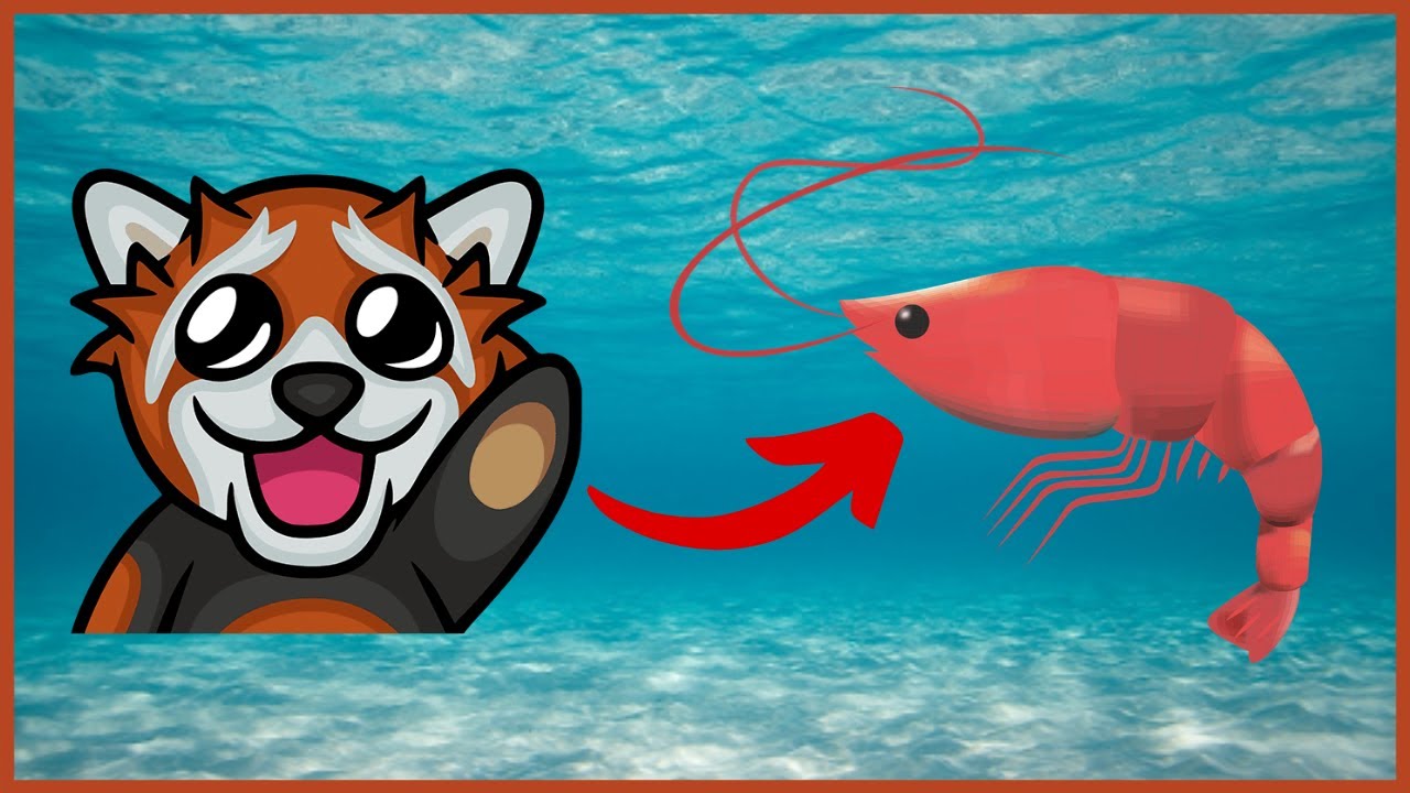 EWRON KREWETA? REAKCJA CZATU na DONATE THORKA | KWADRATOWA MASAKRA