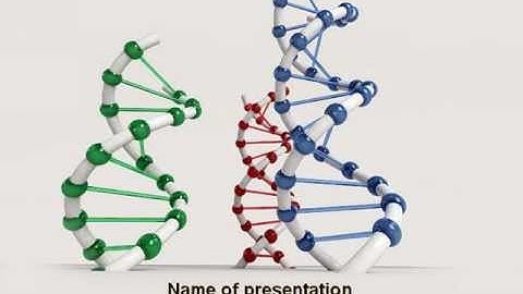Plastic DNA Model PowerPoint Template by PoweredTemplate.com