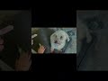 Dog mom knows how important oral care is.TropiClean Oral Care Brushing Gel for Dogs & Cats| Dog Toot