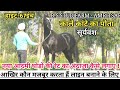 देखिए ठाकुर का बच्चा काले कांटे का पोता सूर्यवंश B.S Stud Farm मैं (8360960496)