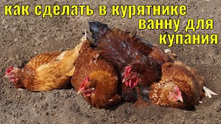 Как сделать в курятнике песчано зольную ванну для избавления кур от паразитов