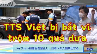 Người Việt Tại Nhật Bị Bắt Vì Trộm 10 Quả Dưa Hấu TIN NÓNG (cộng đồng người việt tại nhật)#ongthojp