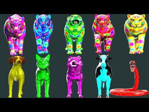 Wild Animals Finger Family Song For Kids Nursery Rhymes Children Toddlers Gorilla NASH TOON Tv