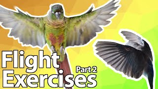 Flight Exercises PART 2 | Training Tutorial