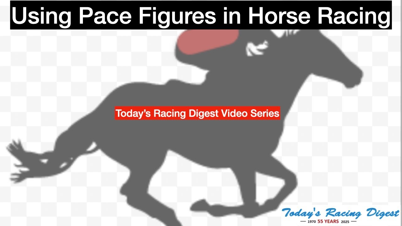 How to Make Money Using Pace Figures in Horse Racing: Today's Racing Digest Pace Ratings