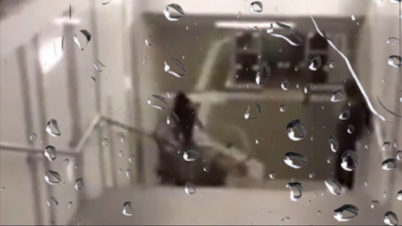 When you try your best but you don’t succeed (meme) - YouTube