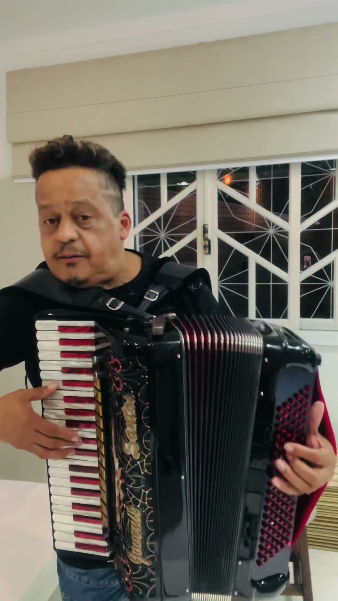 https://rifei.com.br/acordeon-melody-president