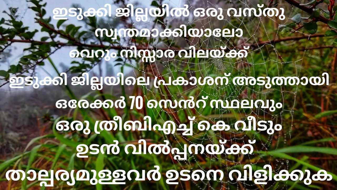 ഇടുക്കി prakasഅടുത്തായി ഒരേക്കർ 70 സെൻറ് സ്ഥലവും ത്രീ ബി എച്ച് കെ വീടും വിൽപ്പനക്ക്