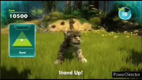 What Did You Think About My Wildest Awesomeness Amazingness Zoo Tricks?.