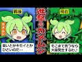 クサいキモいウザいのカメムシが大量発生する原因は〇〇だった…【ずんだもん ゆっくり解説】