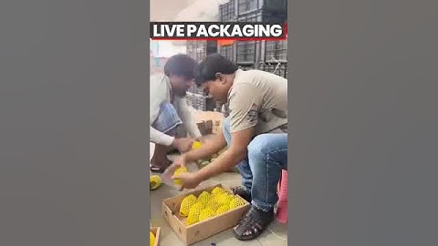 What Can You Learn About Export Packaging from APMC Market Visits? 🌍📦 #kdsushma #exportbusiness