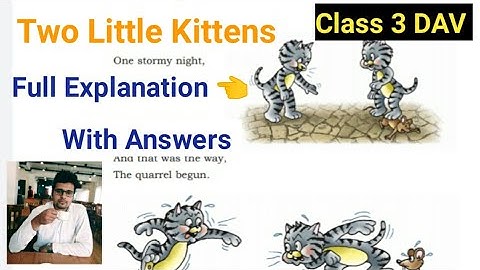 @Englishwithpawansir   Two Little kittens//  Full Explanation with answers // Class 3 DAV.