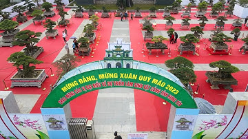 Toàn cảnh triển lãm Cây Cảnh Hưng Yên mở rộng 2023