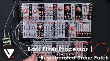 Bark Filter Processor | Reverberated Drone Patch