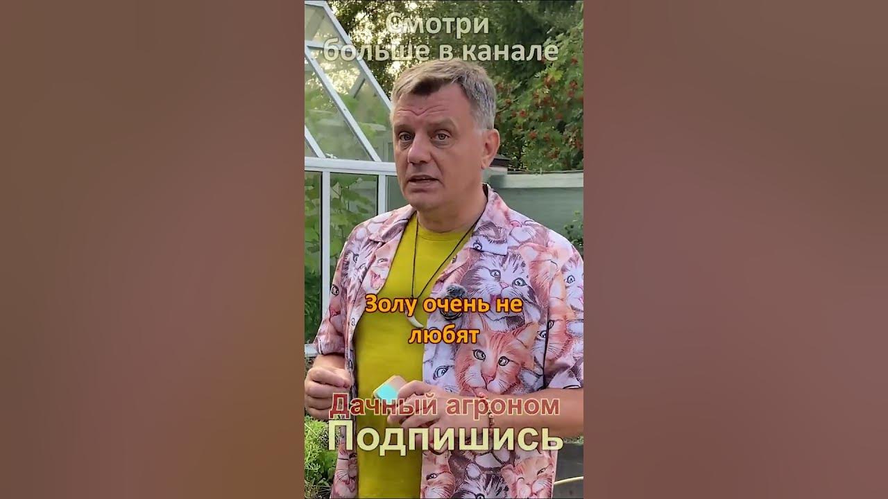 ЗАЧЕМ в огороде ЗОЛА??? - YouTube
