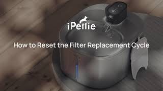 How to Reset the Filter Replacement Cycle  iPettie Runway Cat Water Fountain