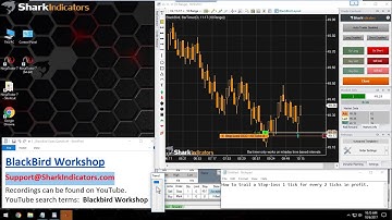 BlackBird Workshop - Trail the Stop-loss 1 tick for Every 2 Ticks in Profit
