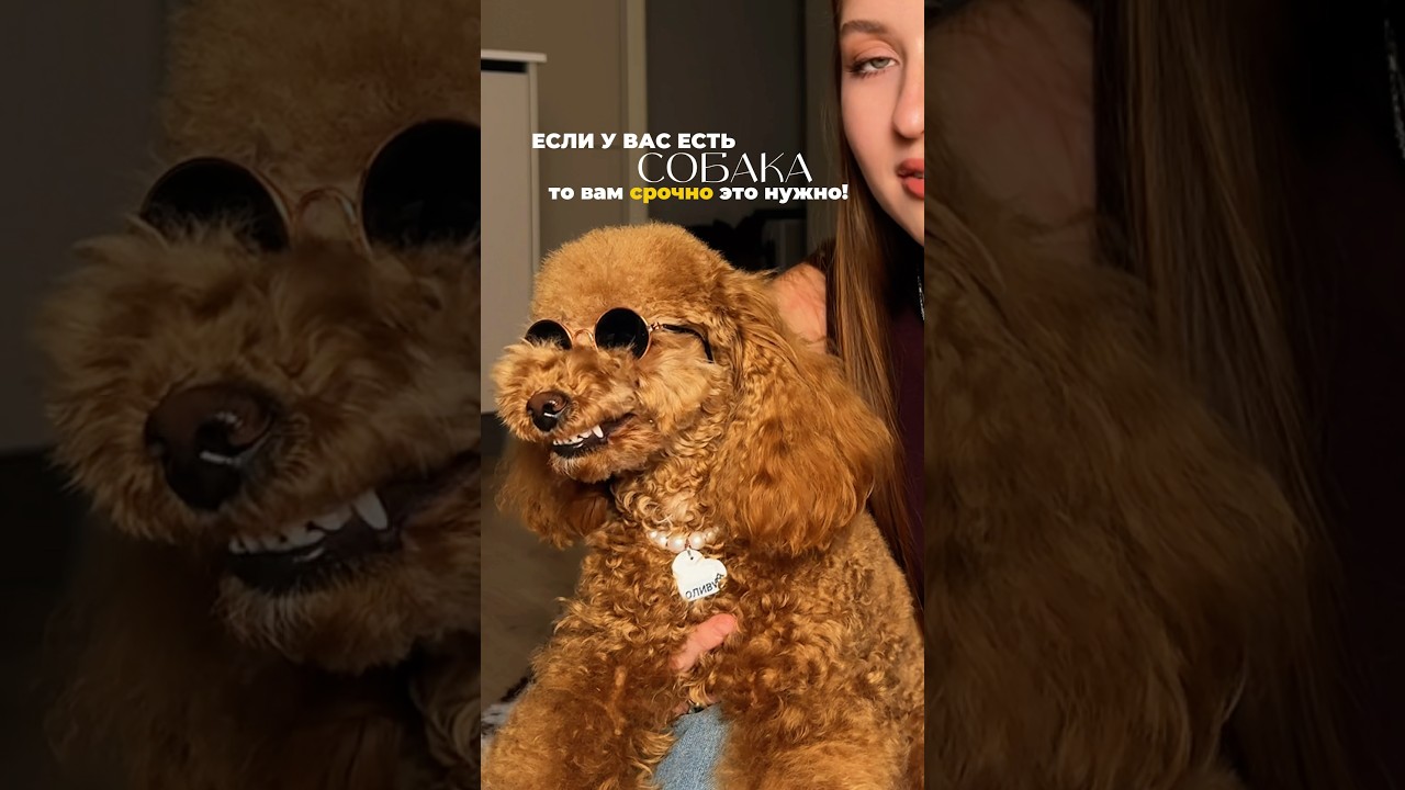 Смотри описание