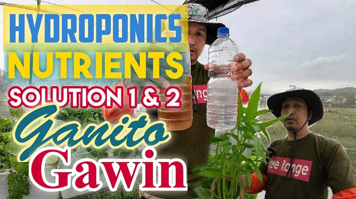 Gumawa ng sariling Low Cost Hydroponics Nutrients Solution | DIY Hydroponics Nutrients Version 2