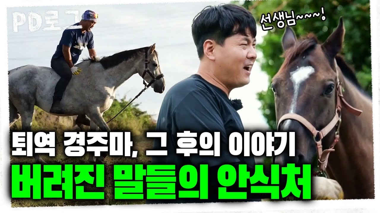 퇴역 경주마, 그 후의 이야기! 버려진 말들의 안식처 | PD로그 | 78화 버려진 말들의 안식처, 말의 숲 이야기