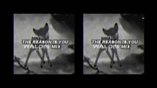 Nina - The Reason Is You (Waldis Drums Mix)