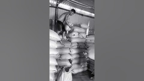 bốc xếp ngọc thạch tphcm.lh 0967782291