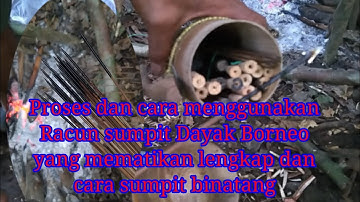 Proses dan cara menggunakan racun sumpit Dayak Borneo yang mematikan lengkap, dan sumpit bintang