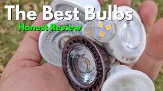 Common vs Professional Bulbs