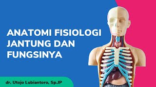 Anatomi Fisiologi Jantung dan Fungsinya | dr. Utojo Lubiantoro, Sp.JP