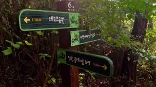 오석산 영상