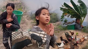 Ob​ tug​ me​ ntxhais​ mus​ pub​ qaib pub​ npua