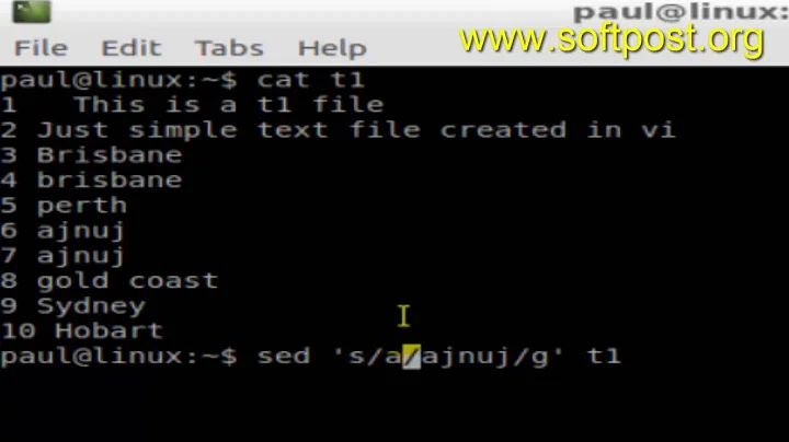 How to find and replace text in a file in Linux