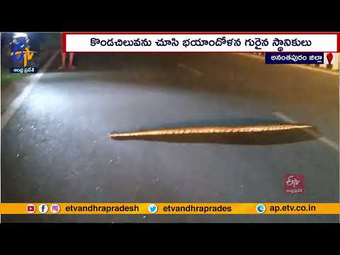 కళ్యాణదుర్గంలో భారీ కొండ చిలువ హల్‌చల్‌ | Huge Python Crosses Highway | Kalyandurg | Watch Video