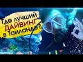 Где лучший дайвинг в Таиланде? Где лучший дайвинг и как обращаться с опасными подводными жителями?