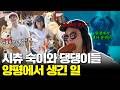 양평에서 팬미팅도 하고 핫도그도 먹고 다이빙도 가고! 다 했어! (ft.이기우)