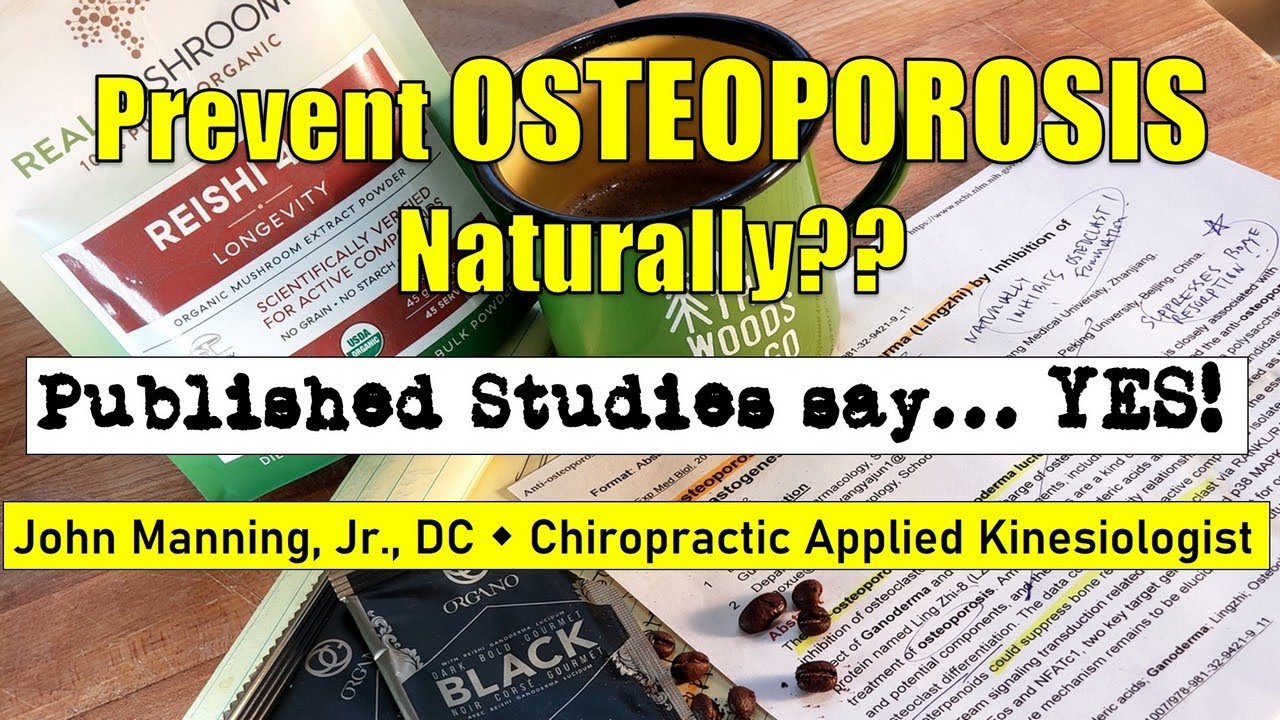 Reishi Mushroom for Osteoporosis? YouTube